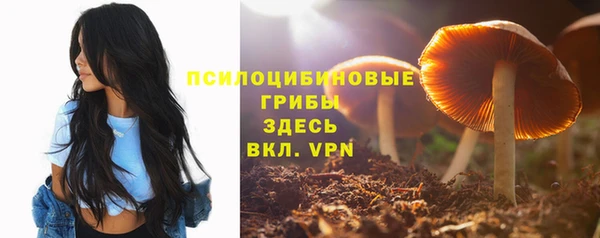 соль курить ск Алексеевка
