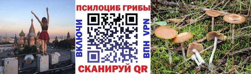 мега tor  что такое наркотик  Чусовой  Галлюциногенные грибы мицелий 